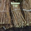 Комплект 5шт / Черенки Белой смородины